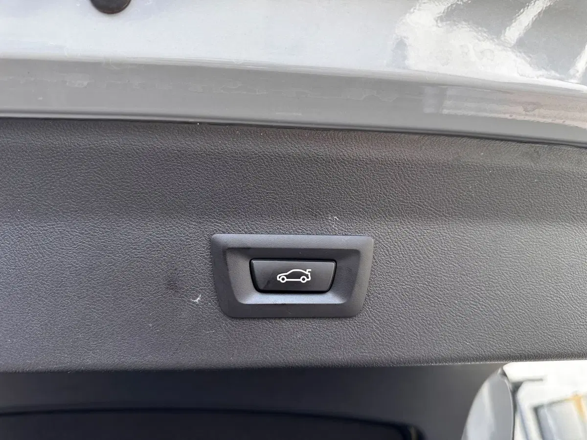 BMW X4 usata a Cuneo (19)