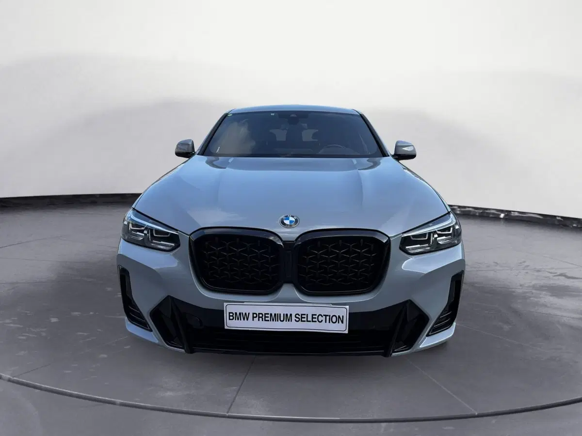 BMW X4 usata a Cuneo (3)