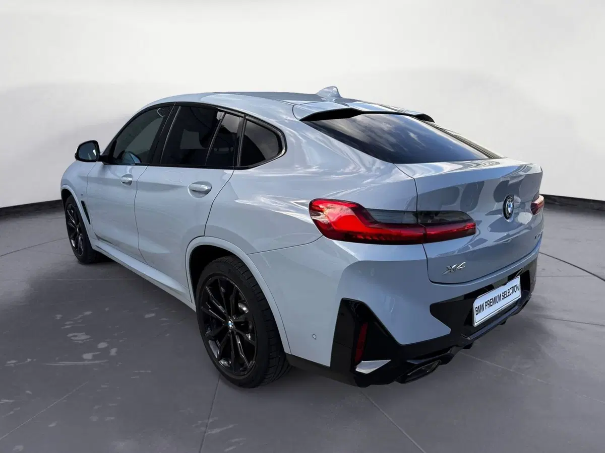 BMW X4 usata a Cuneo (5)