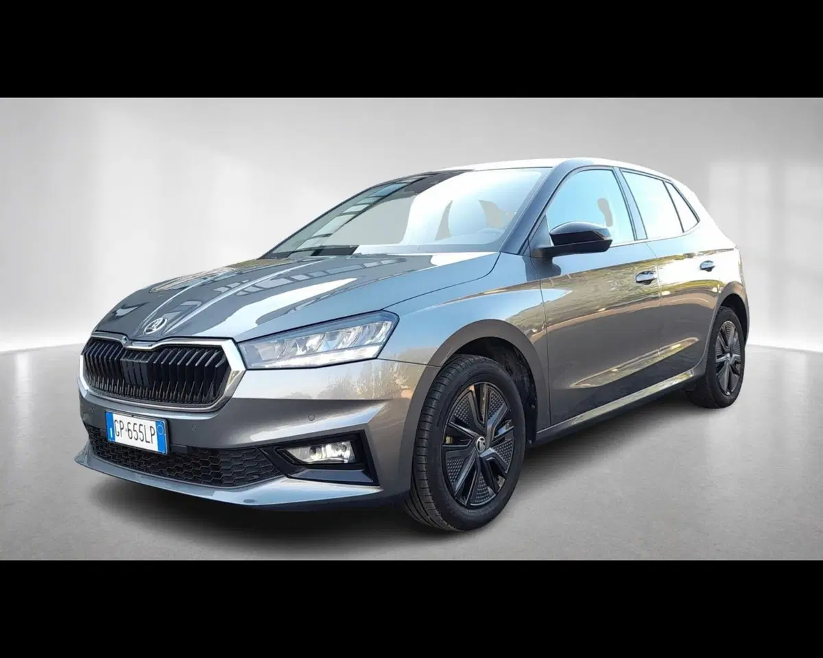 Skoda Fabia usata a Ravenna