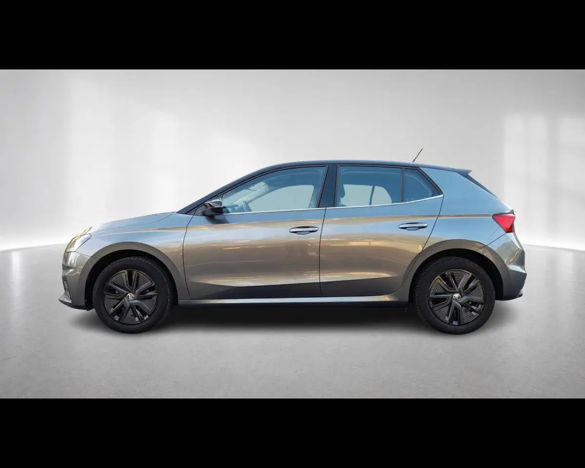 Skoda Fabia usata a Ravenna (3)