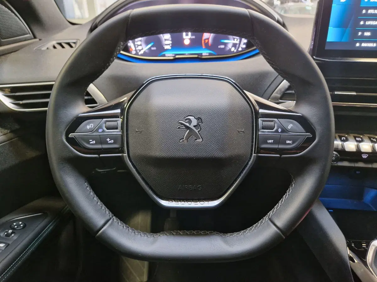 Peugeot 3008 usata a Varese (19)