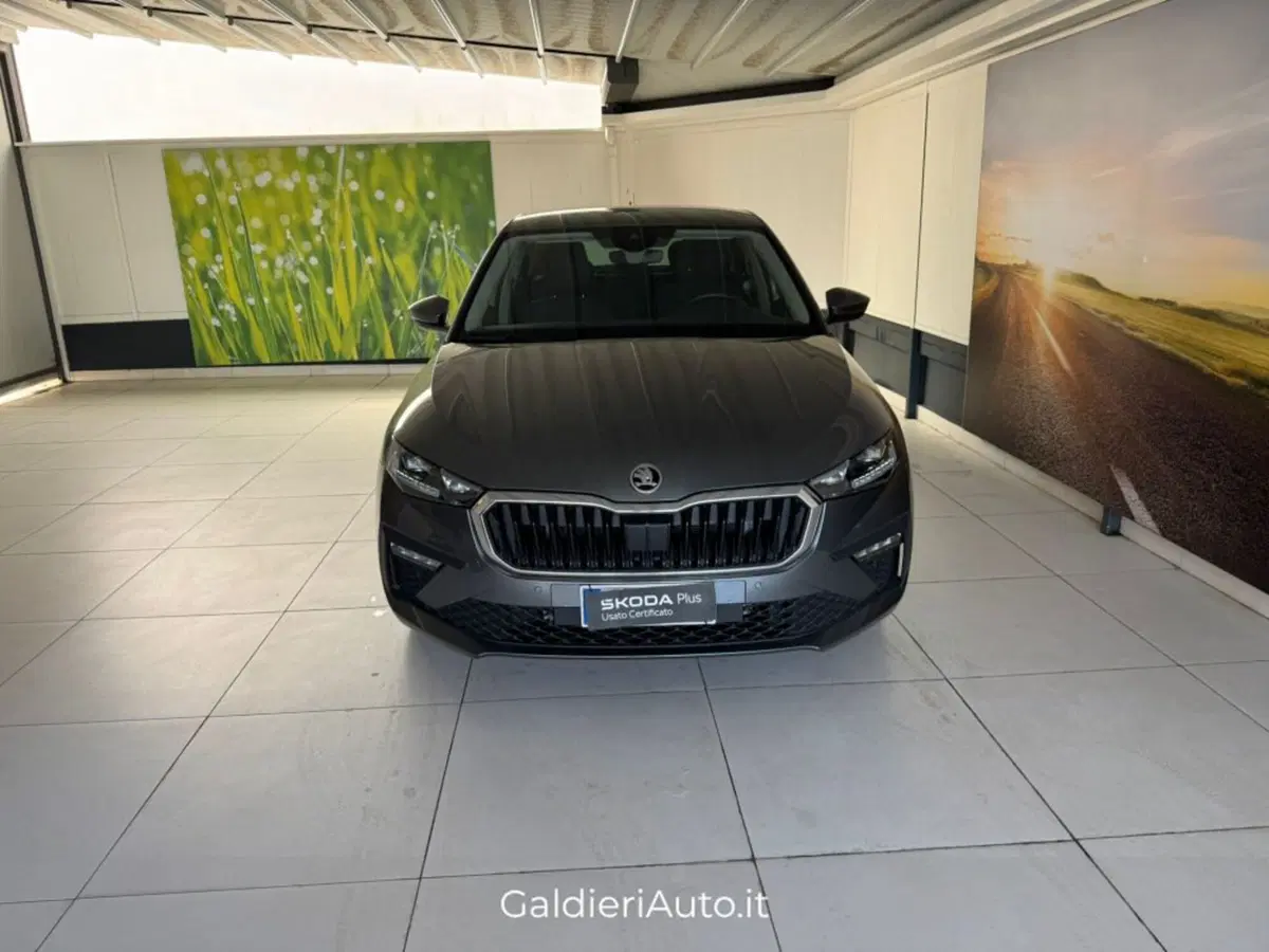 Skoda Scala usata a Salerno (9)