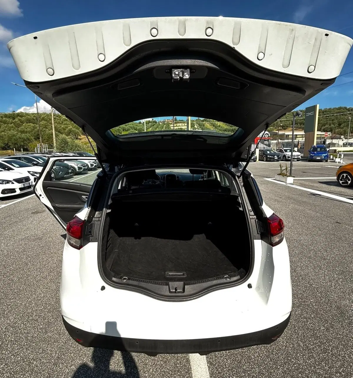 Renault Scénic usata a Roma (9)