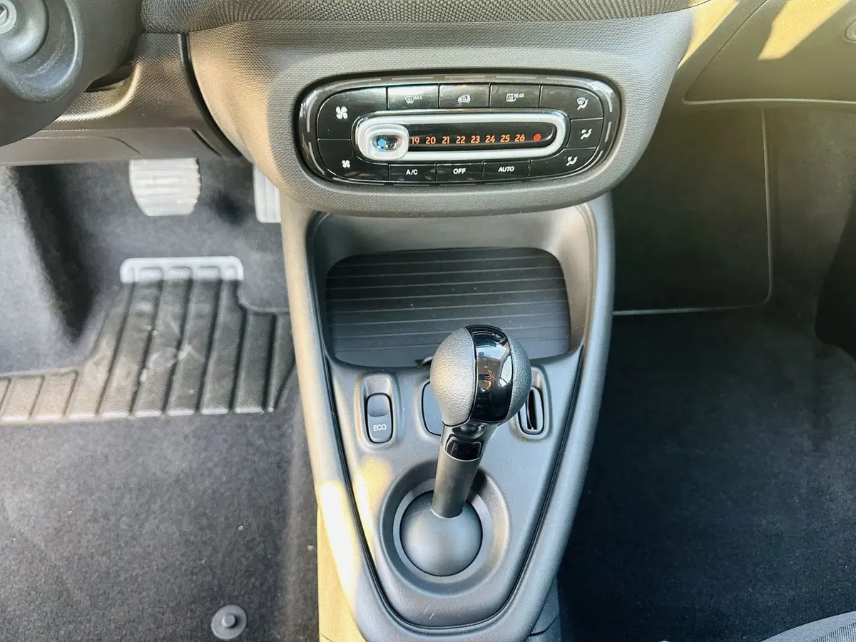 smart Fortwo usata a Firenze (14)