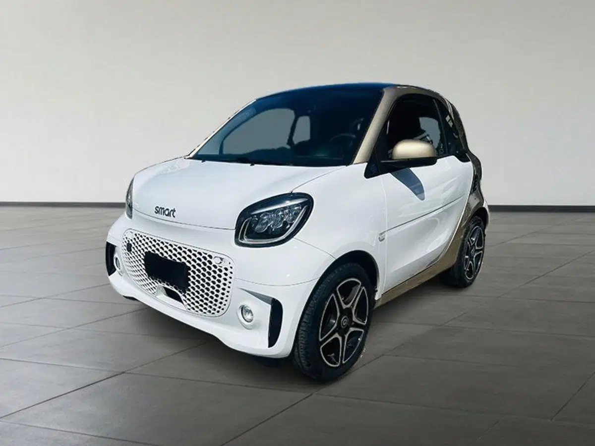 smart Fortwo usata a Firenze