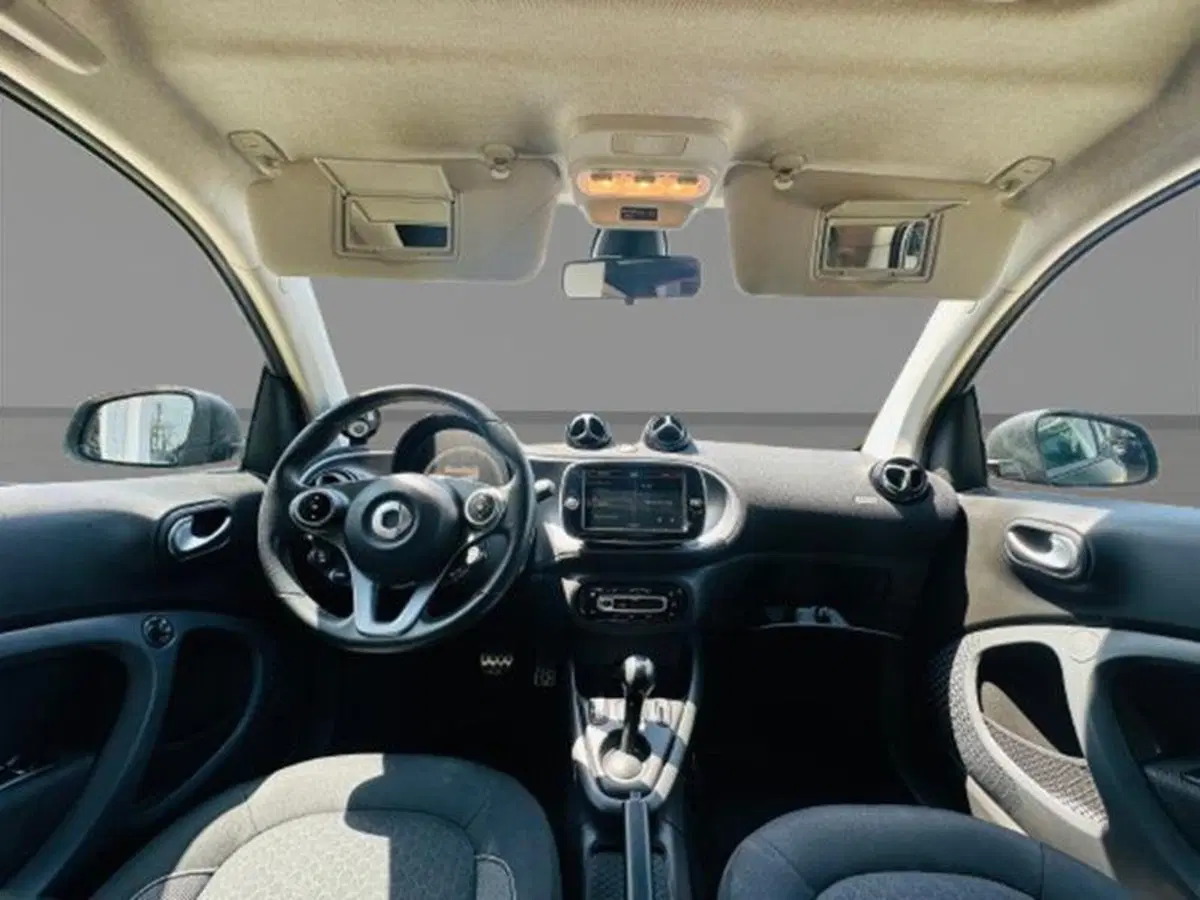 smart Fortwo usata a Firenze (11)