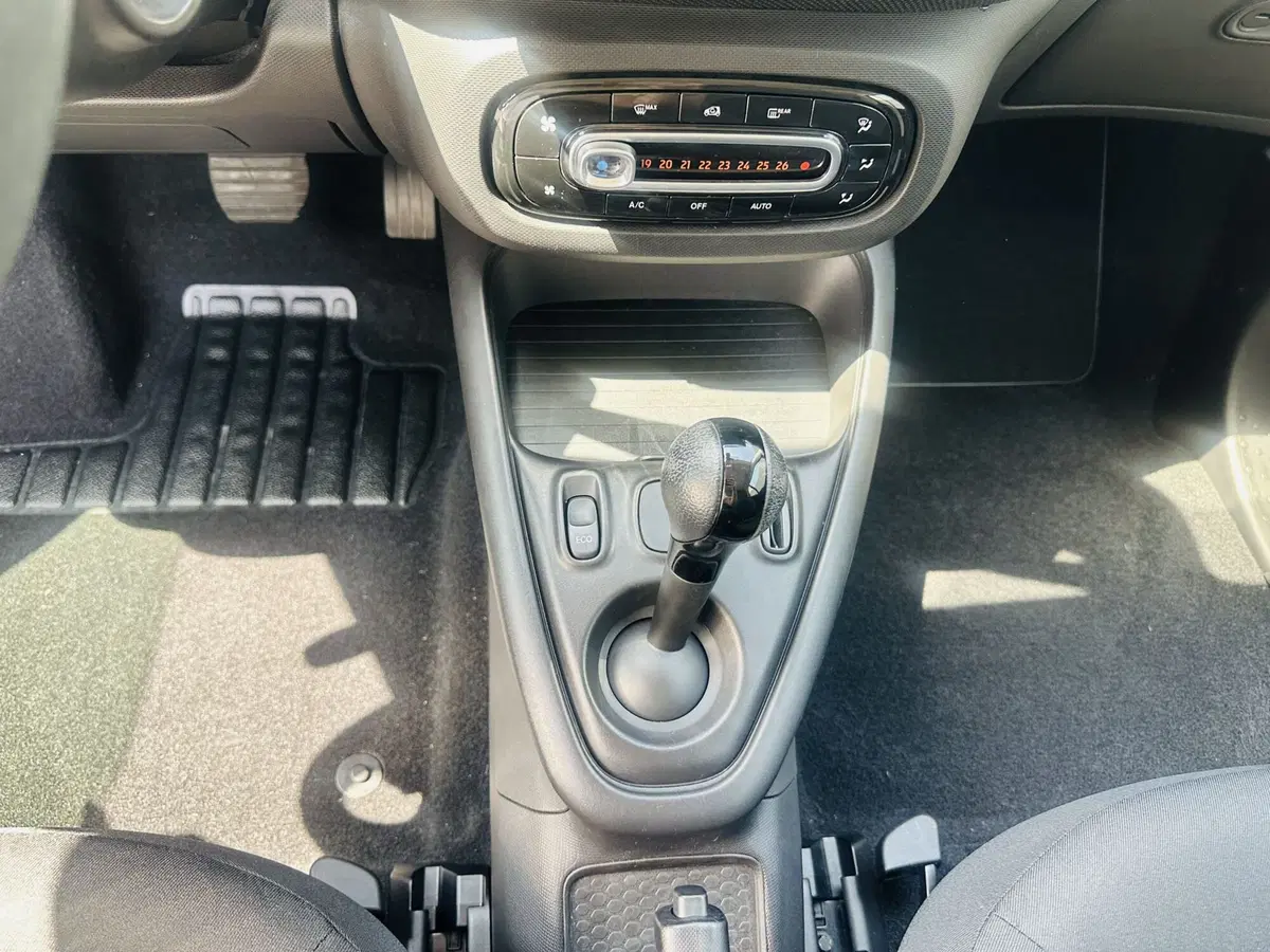 smart Fortwo usata a Firenze (14)