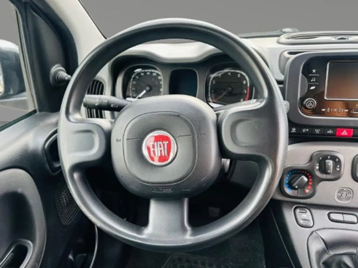 Fiat Panda Cross usata a Firenze (12)