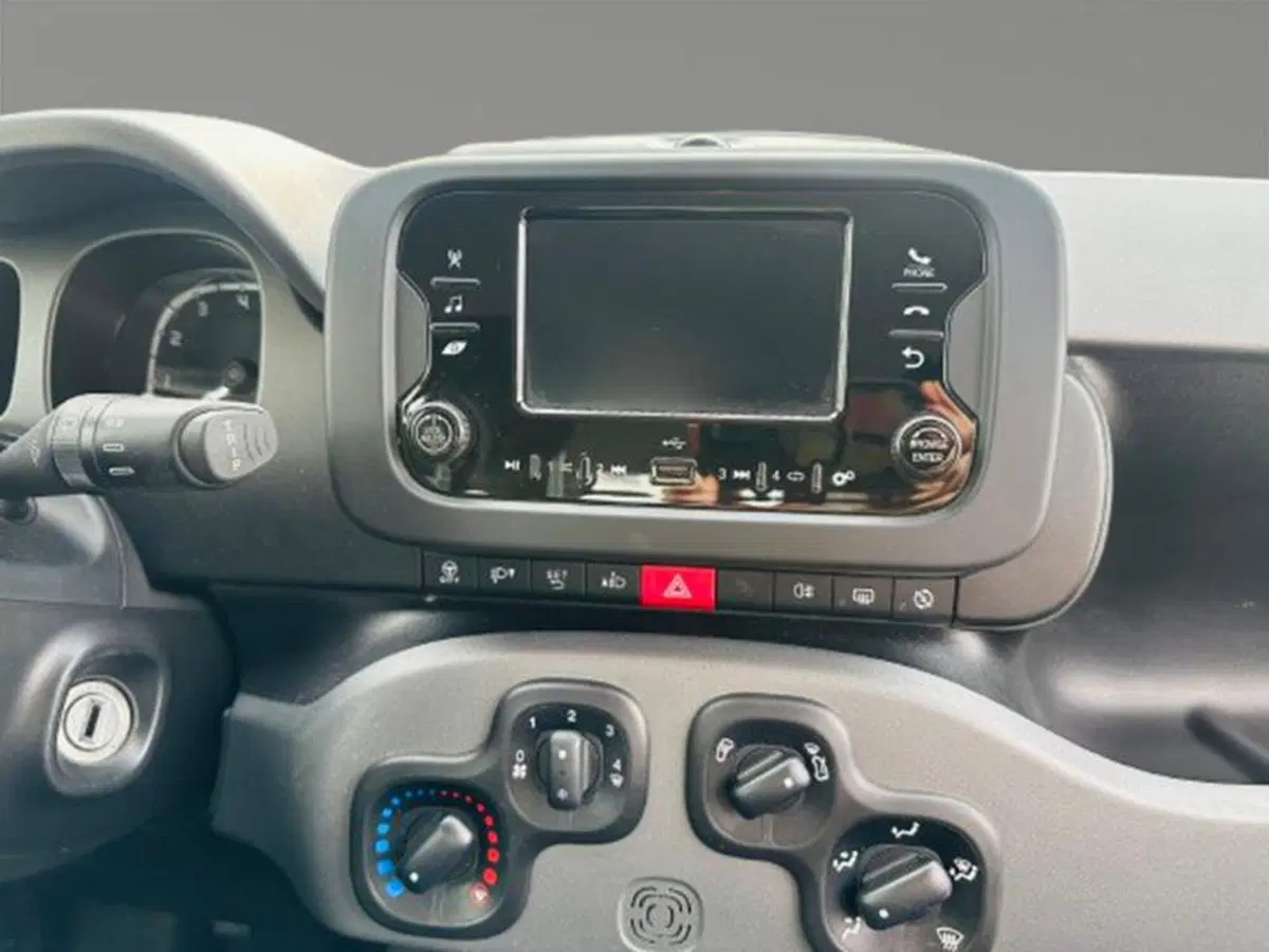 Fiat Panda Cross usata a Firenze (13)