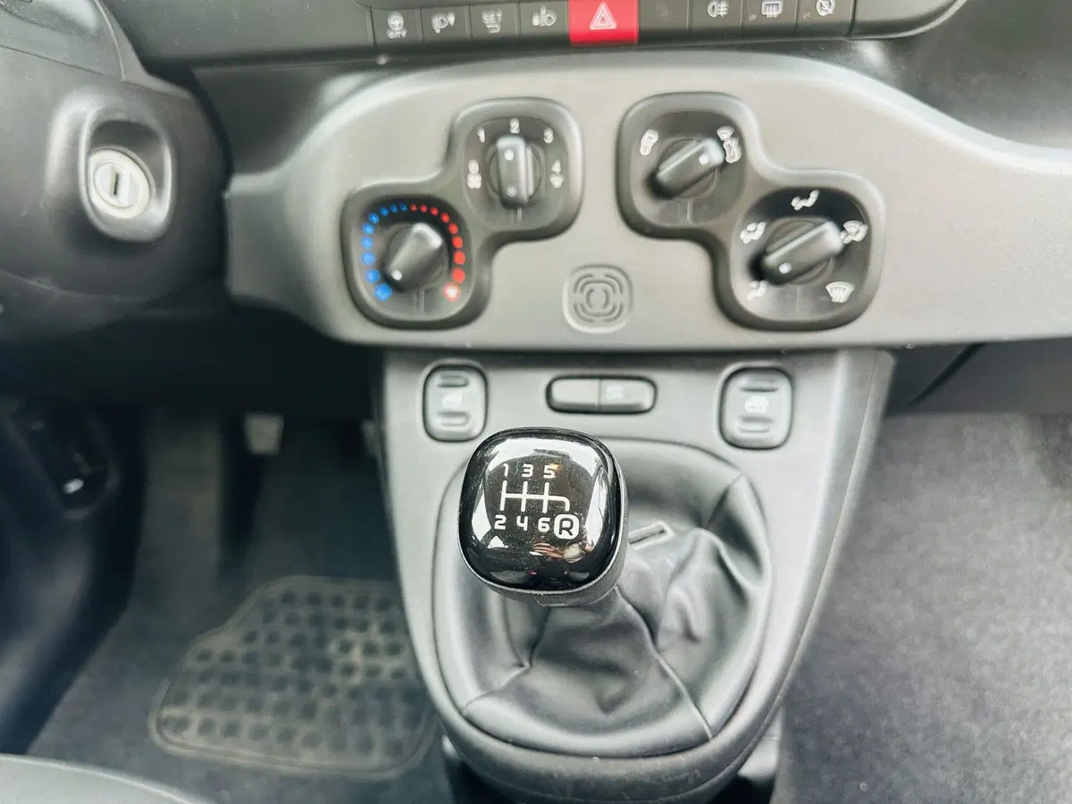 Fiat Panda Cross usata a Firenze (14)