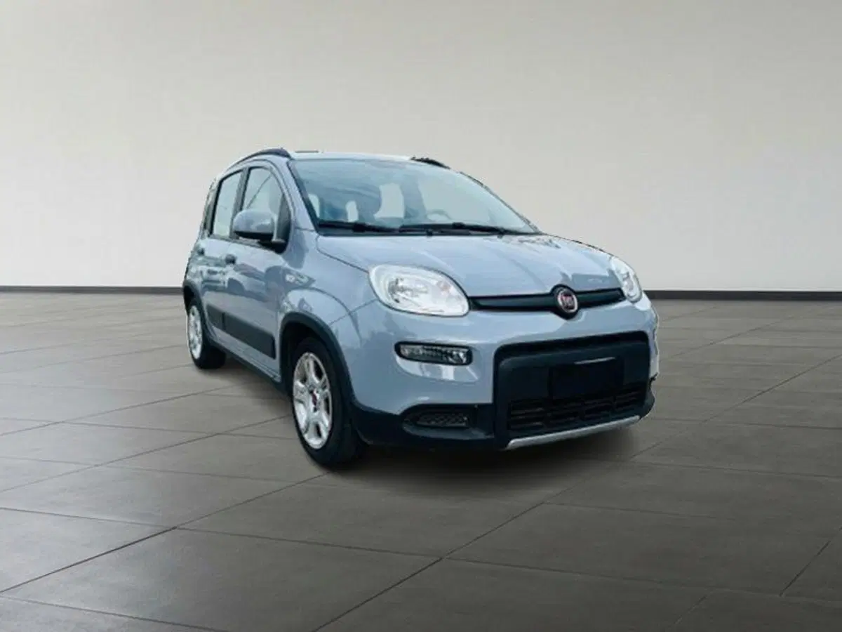 Fiat Panda Cross usata a Firenze (2)