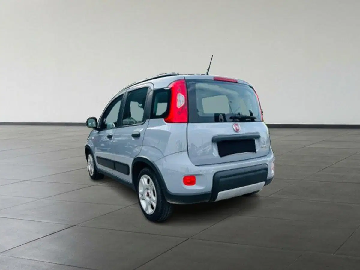 Fiat Panda Cross usata a Firenze (3)