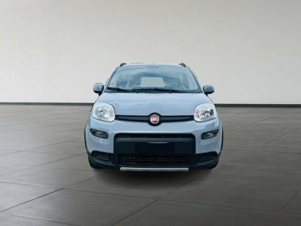 Fiat Panda Cross usata a Firenze (4)