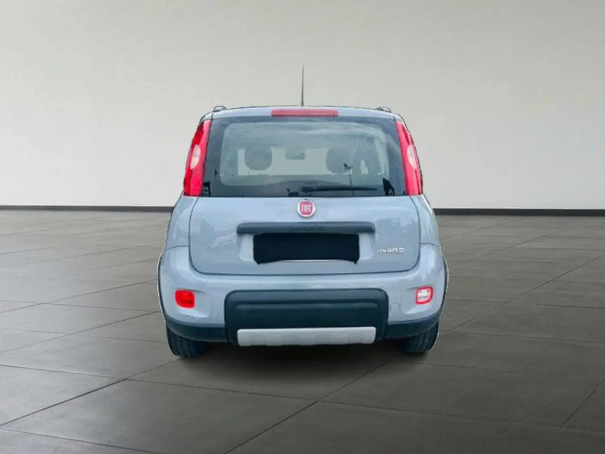 Fiat Panda Cross usata a Firenze (5)