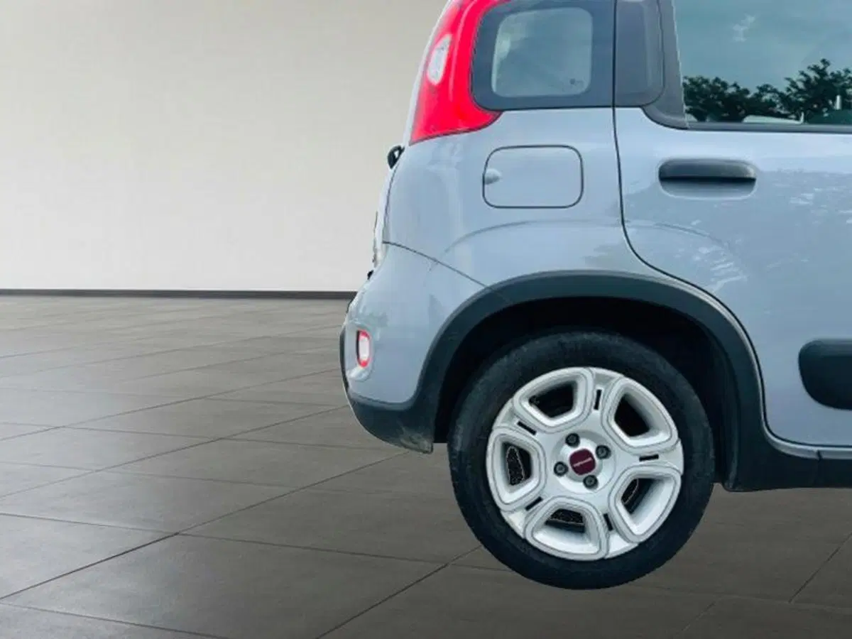 Fiat Panda Cross usata a Firenze (7)