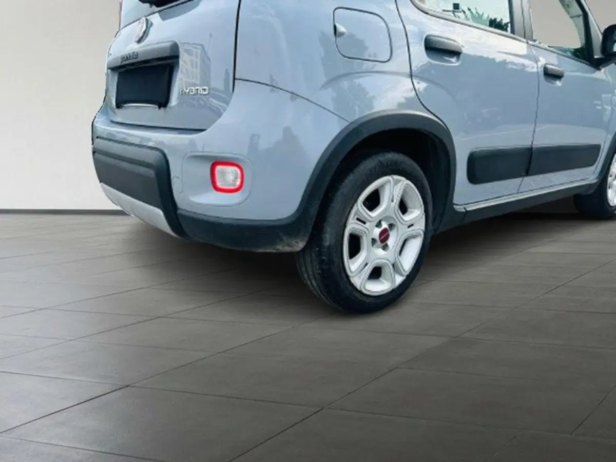 Fiat Panda Cross usata a Firenze (8)