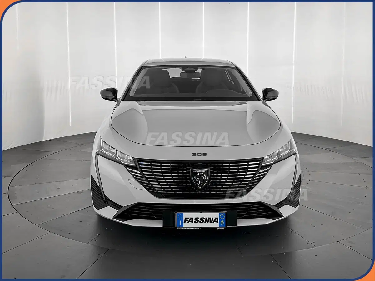 Peugeot 308 usata a Milano (2)