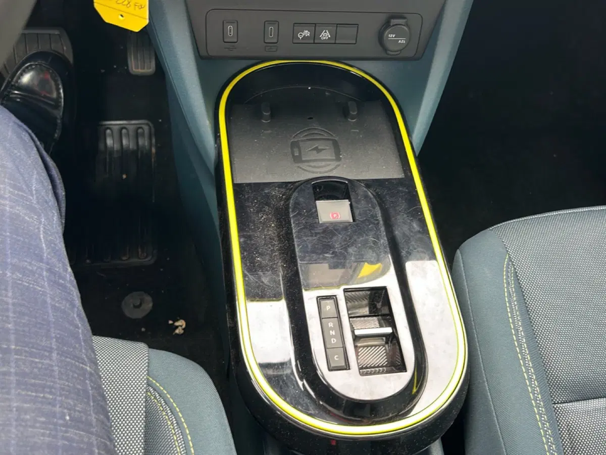 Fiat Grande Panda usata a Bergamo (13)