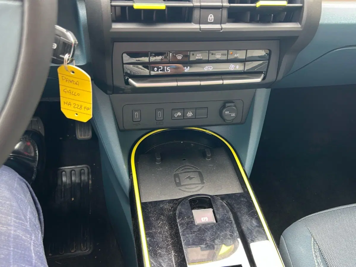 Fiat Grande Panda usata a Bergamo (14)