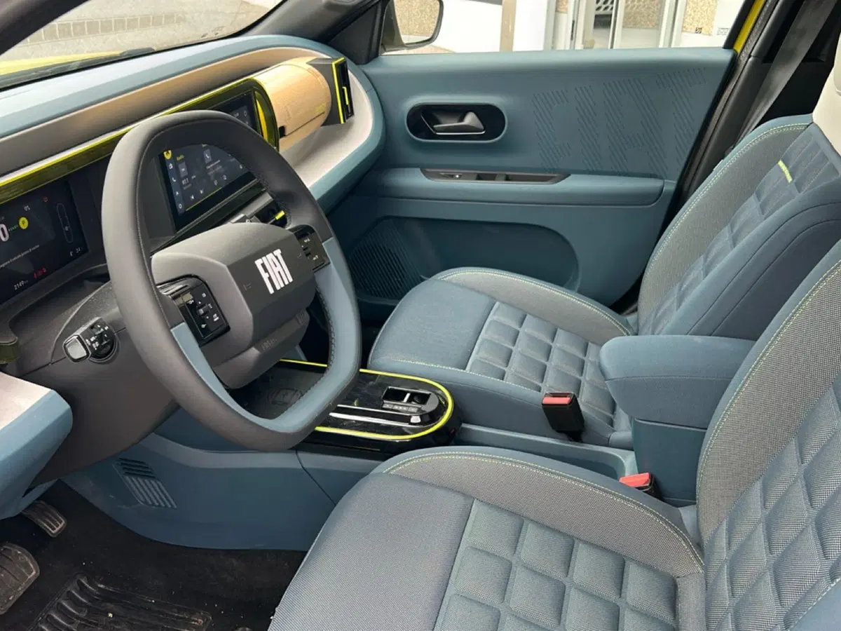 Fiat Grande Panda usata a Bergamo (15)
