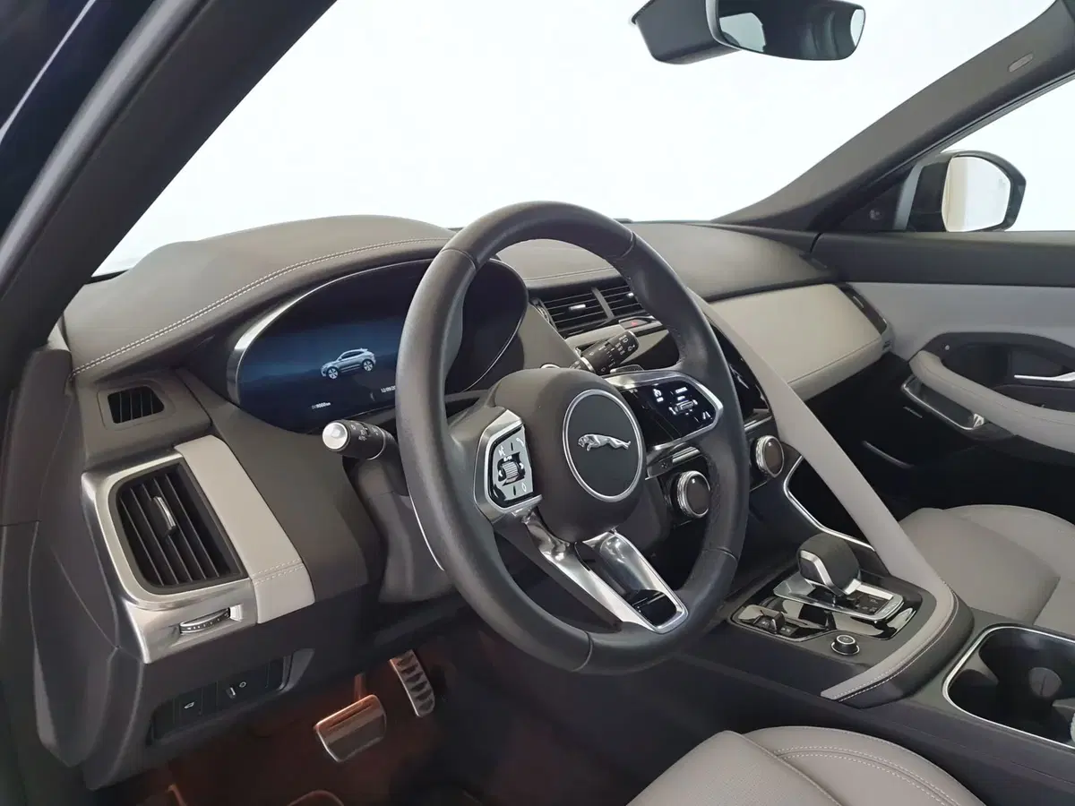 Jaguar E-Pace usata a Monza e Brianza (15)