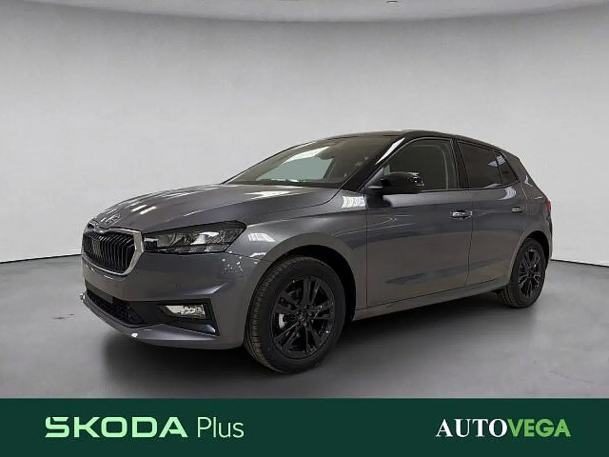 Skoda Fabia nuova a Vicenza