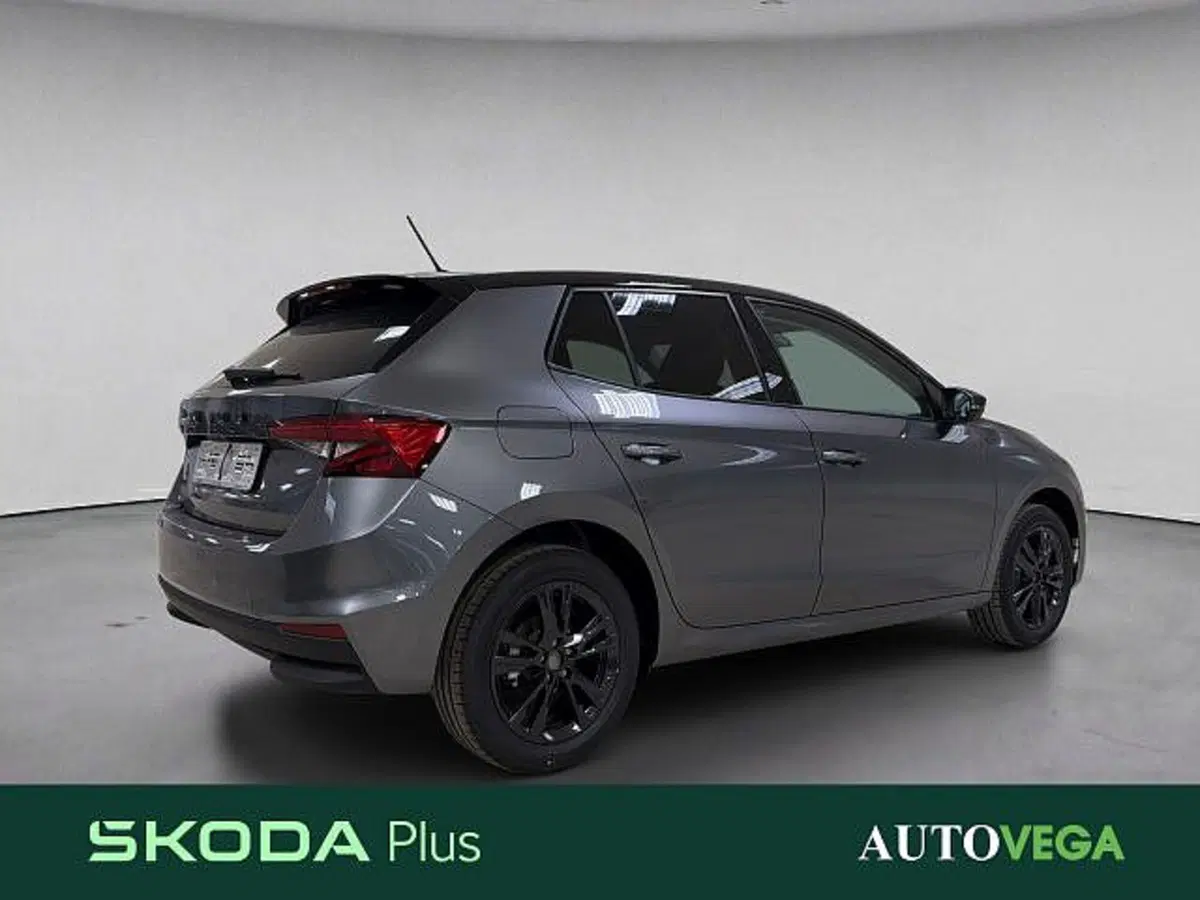 Skoda Fabia nuova a Vicenza (4)