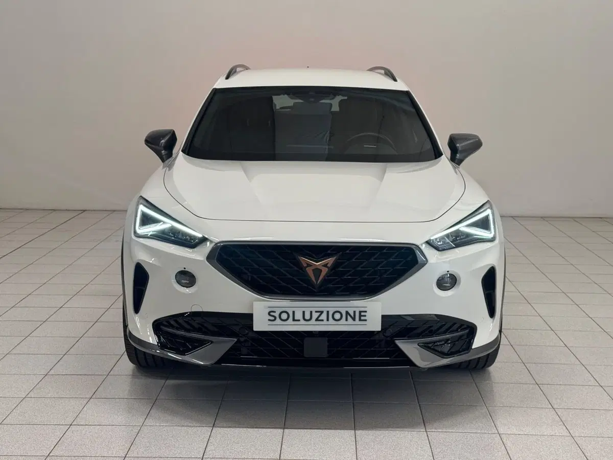 Cupra Formentor usata a Novara (8)