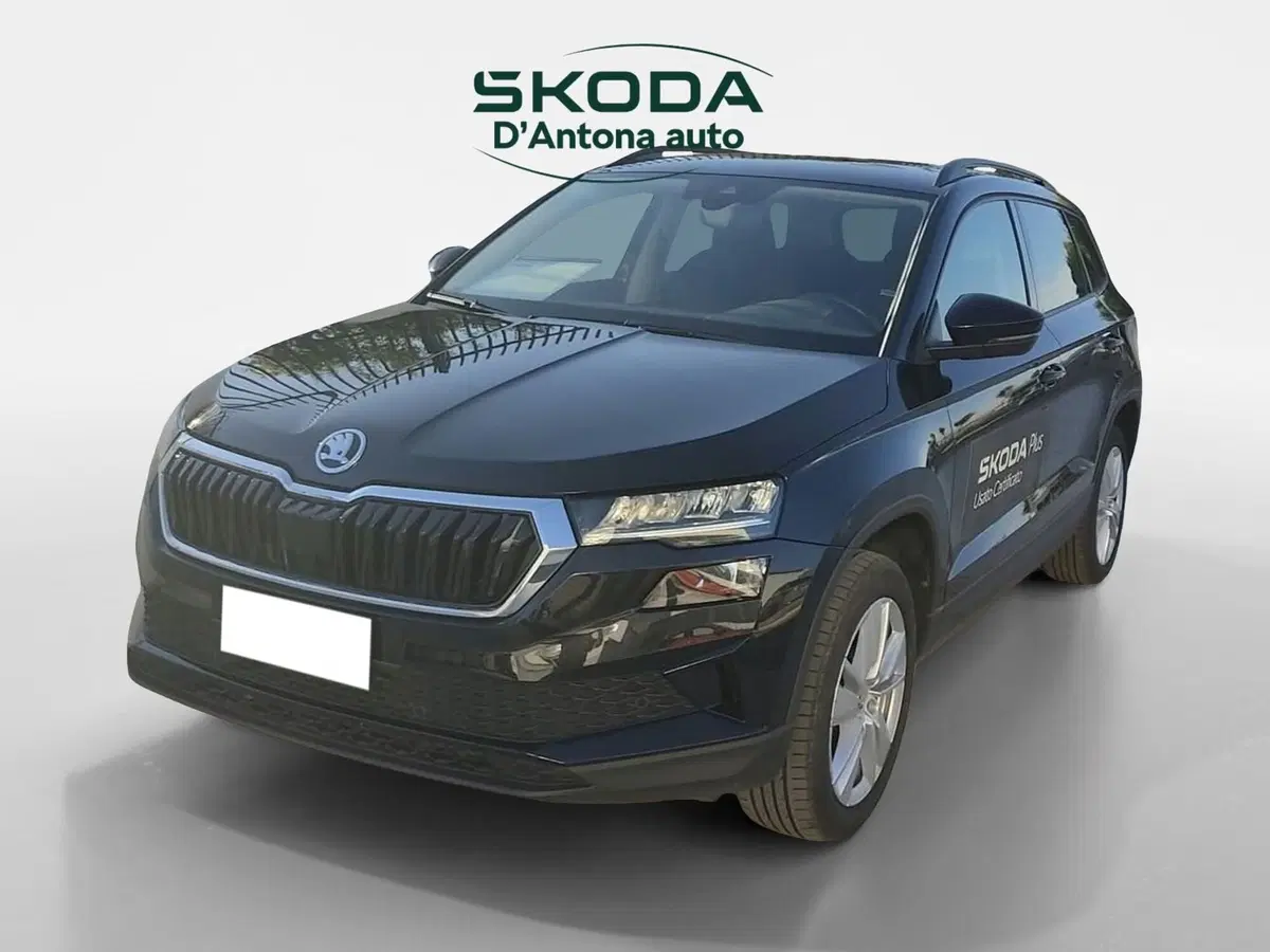 Skoda Karoq usata a Taranto (3)