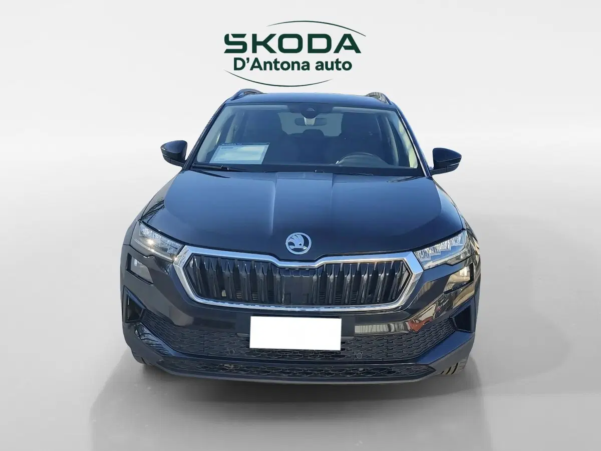 Skoda Karoq usata a Taranto (4)