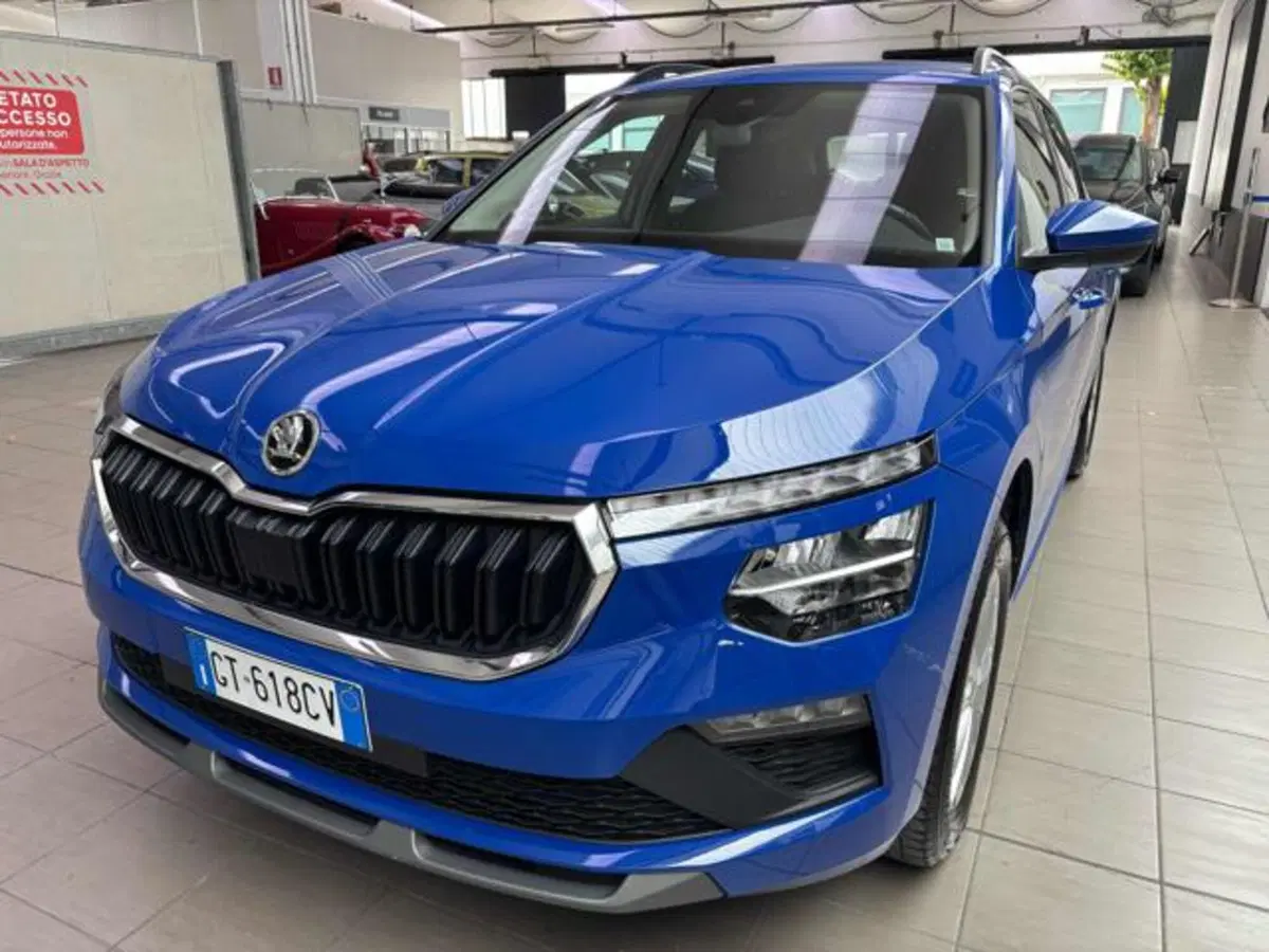 Skoda Kamiq usata a Pesaro-Urbino (2)