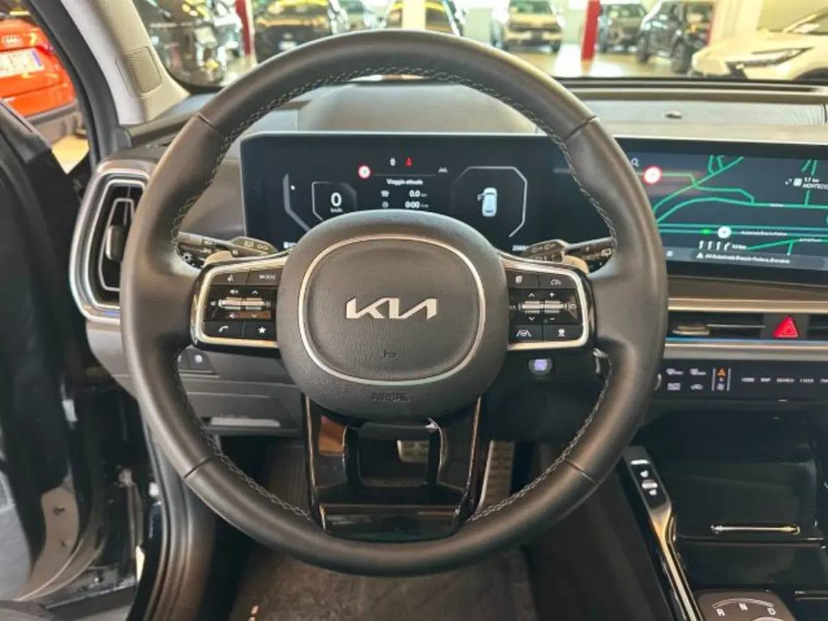 Kia Sorento usata a Vicenza (16)