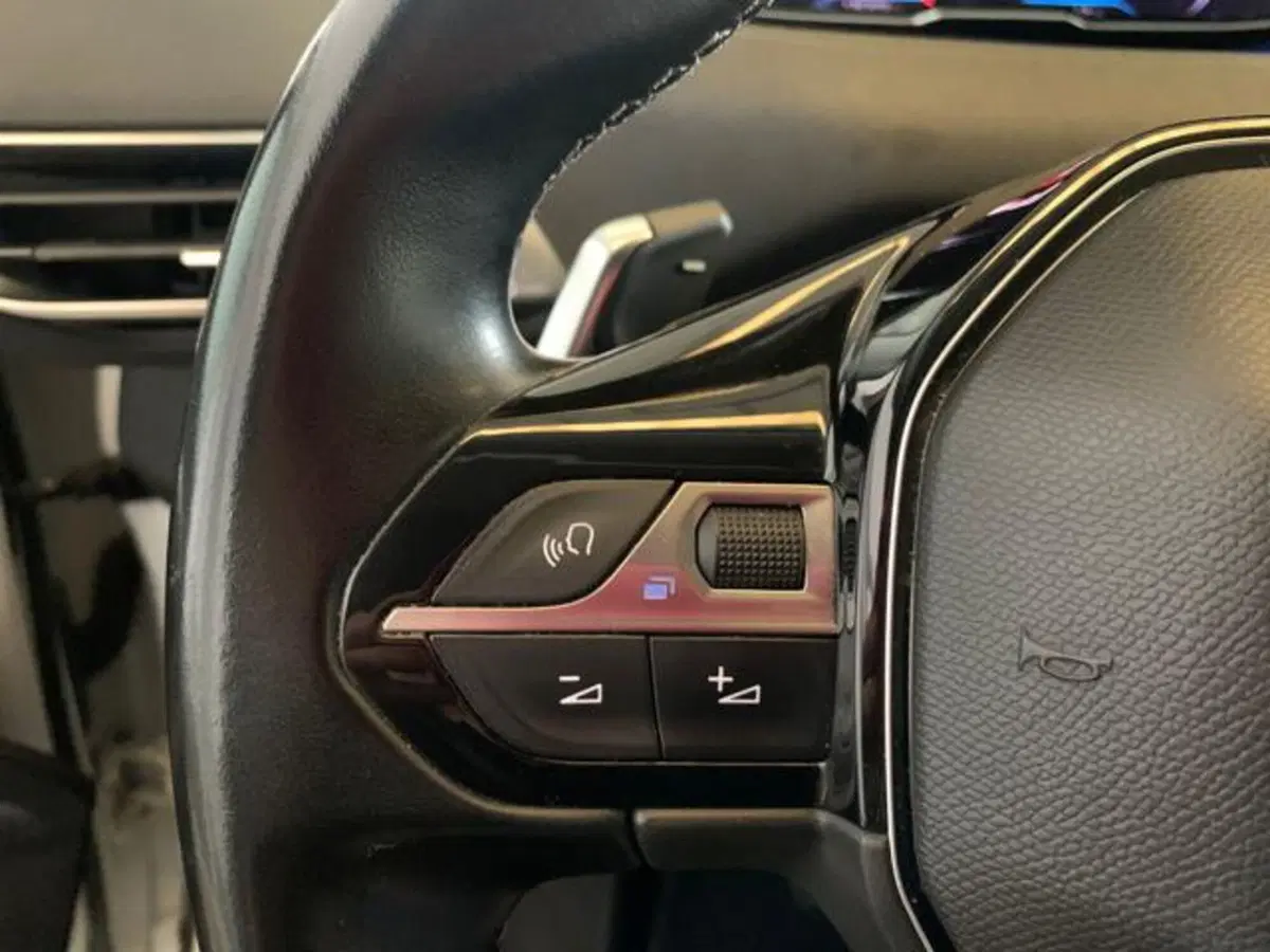 Peugeot 5008 usata a Firenze (18)