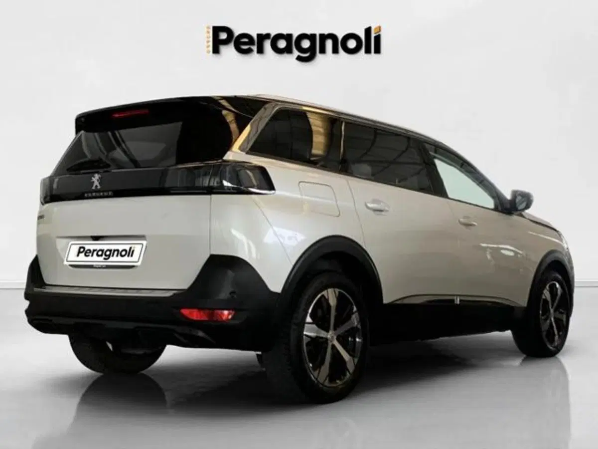 Peugeot 5008 usata a Firenze (5)