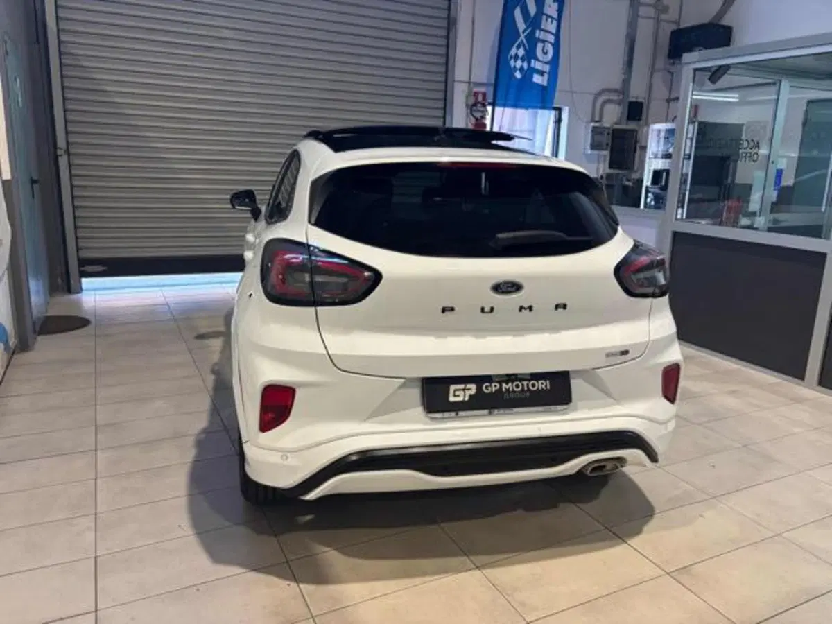 Ford Puma usata a Caserta (5)