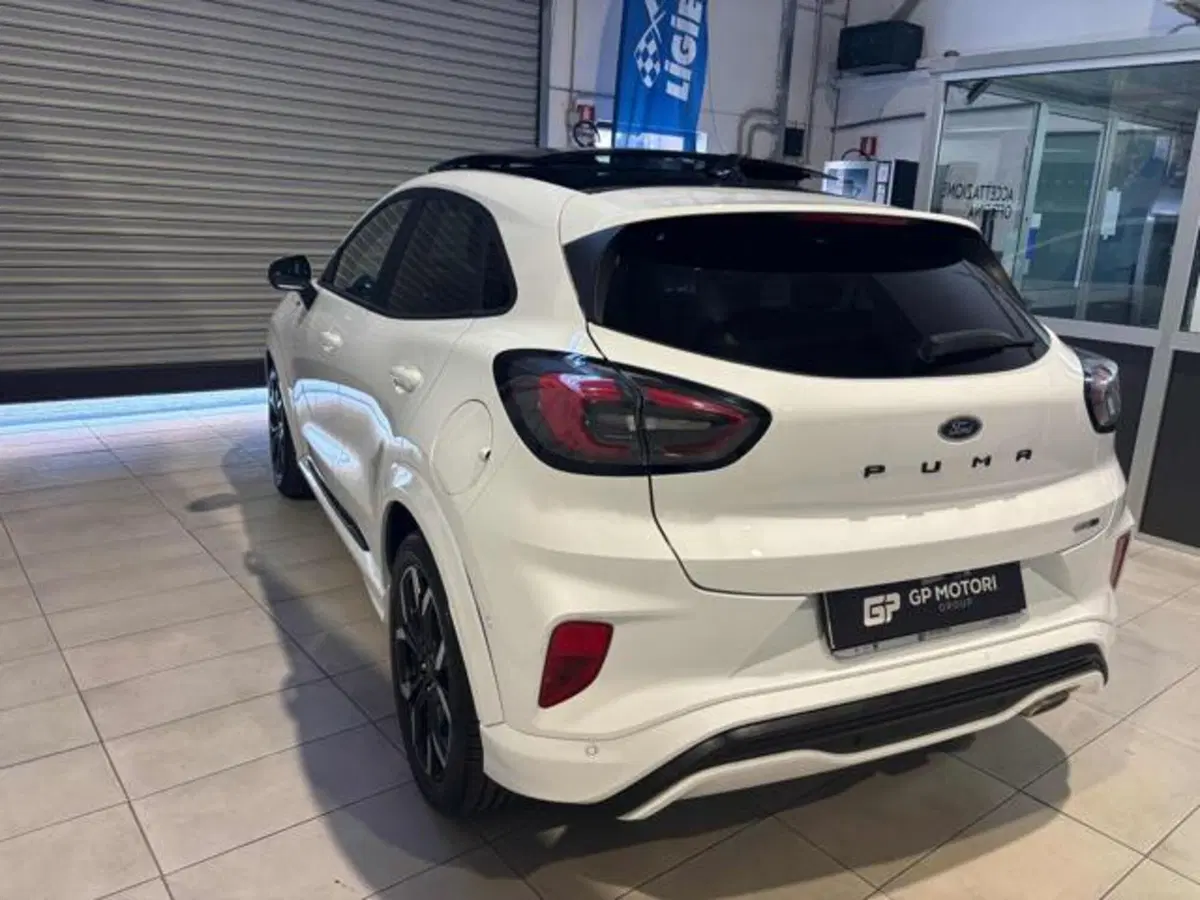 Ford Puma usata a Caserta (6)