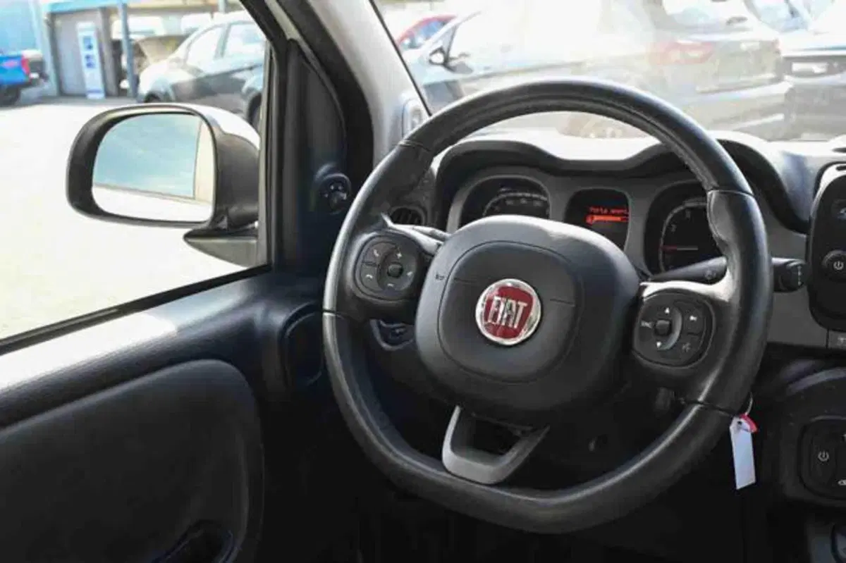 Fiat Panda Cross usata a Torino (11)