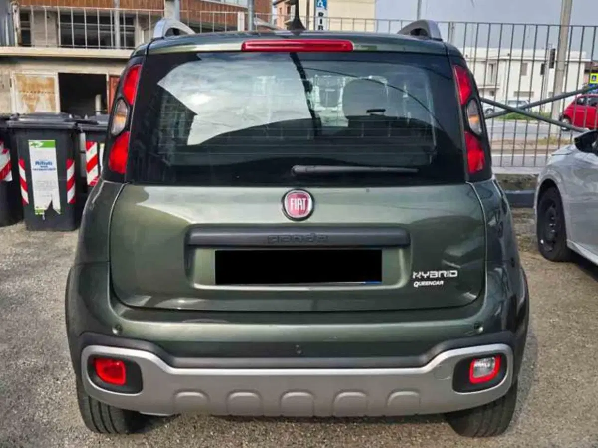 Fiat Panda Cross usata a Torino (2)