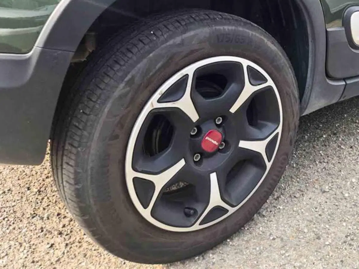 Fiat Panda Cross usata a Torino (4)