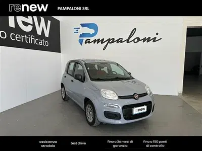 Fiat Panda 1.3 MJT 95 CV S&S Easy del 2018 usata a Siena