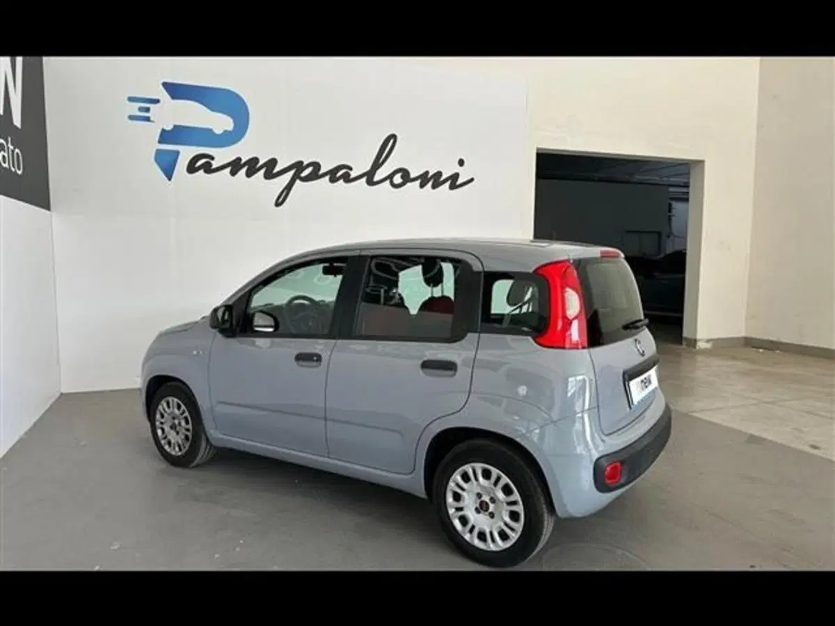 Fiat Panda usata a Siena (19)