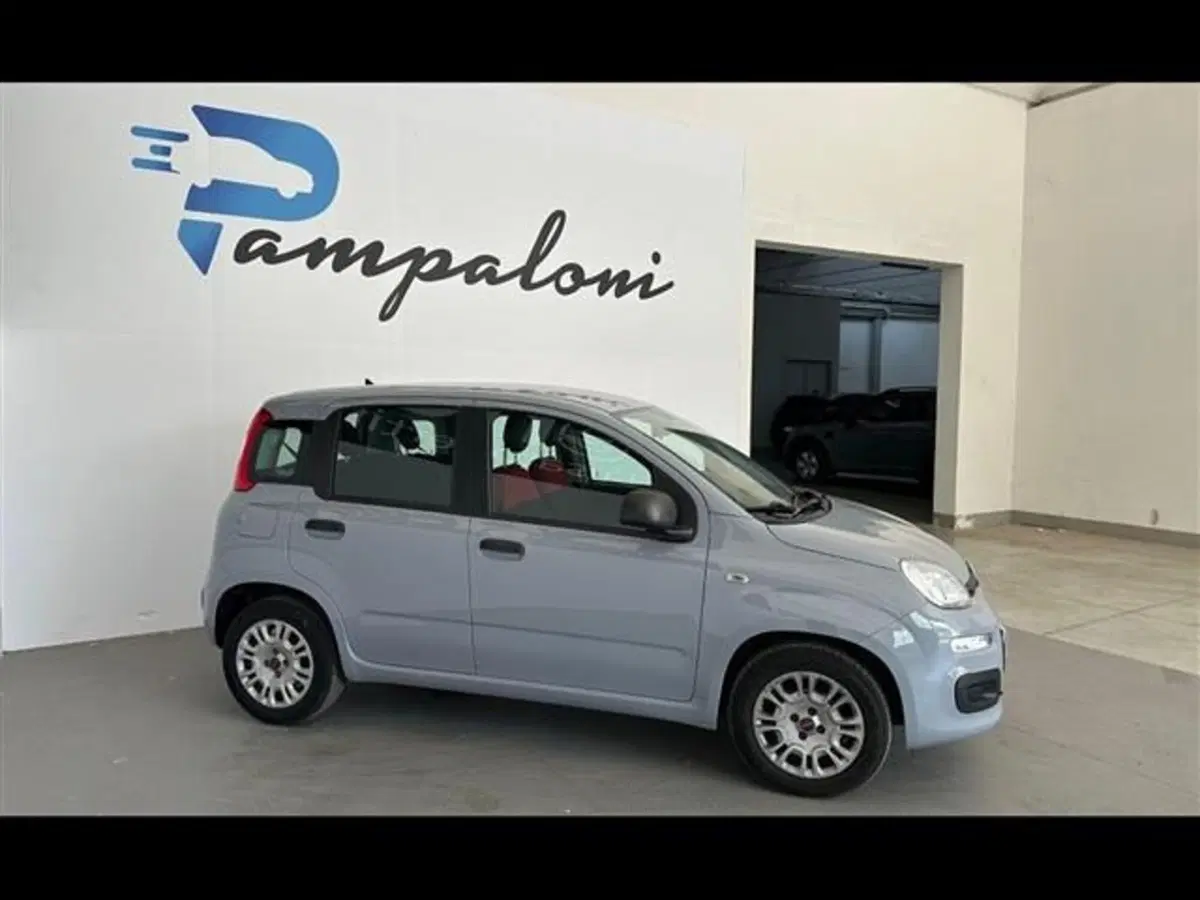 Fiat Panda usata a Siena (2)