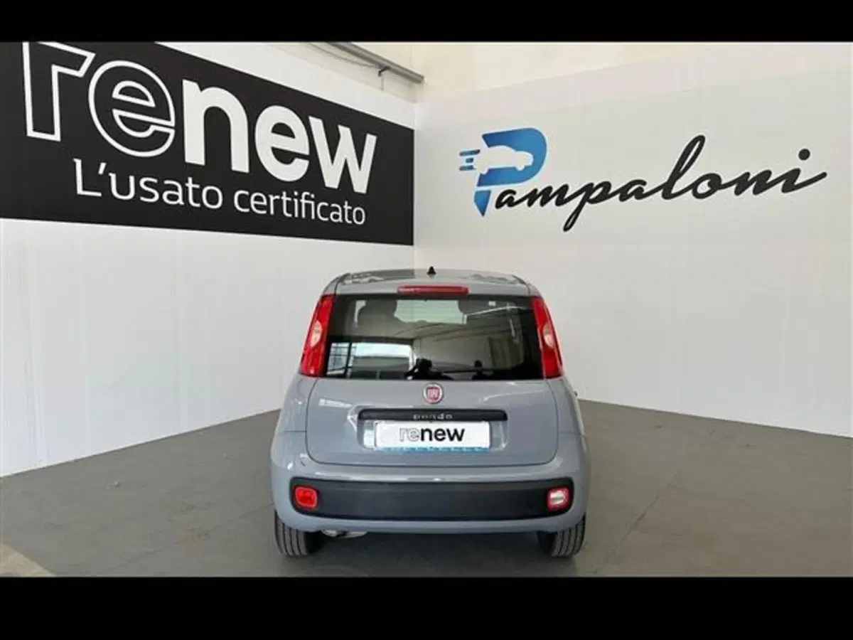 Fiat Panda usata a Siena (20)