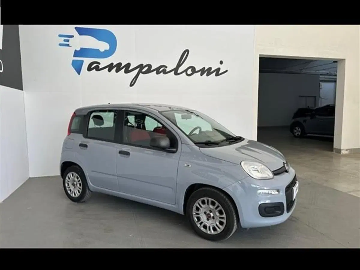 Fiat Panda usata a Siena (3)
