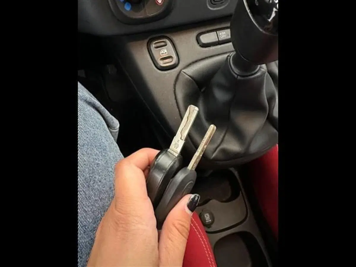 Fiat Panda usata a Siena (7)