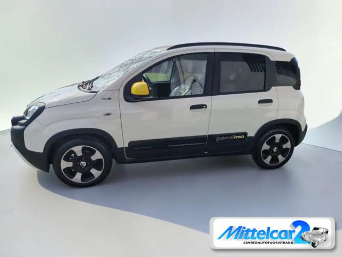 Fiat Panda Cross usata a Udine (2)