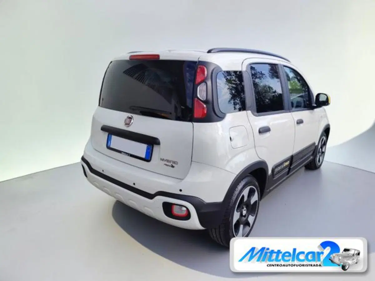Fiat Panda Cross usata a Udine (5)