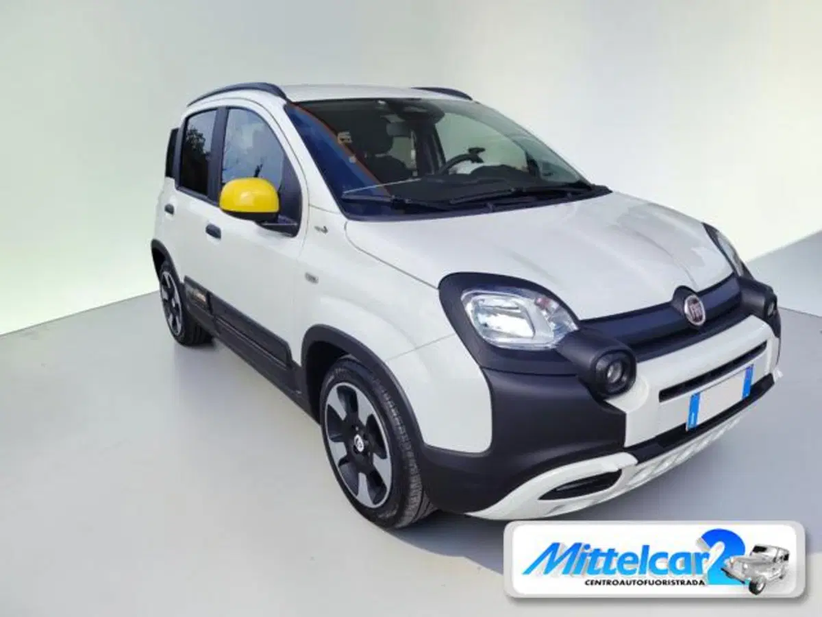 Fiat Panda Cross usata a Udine (7)