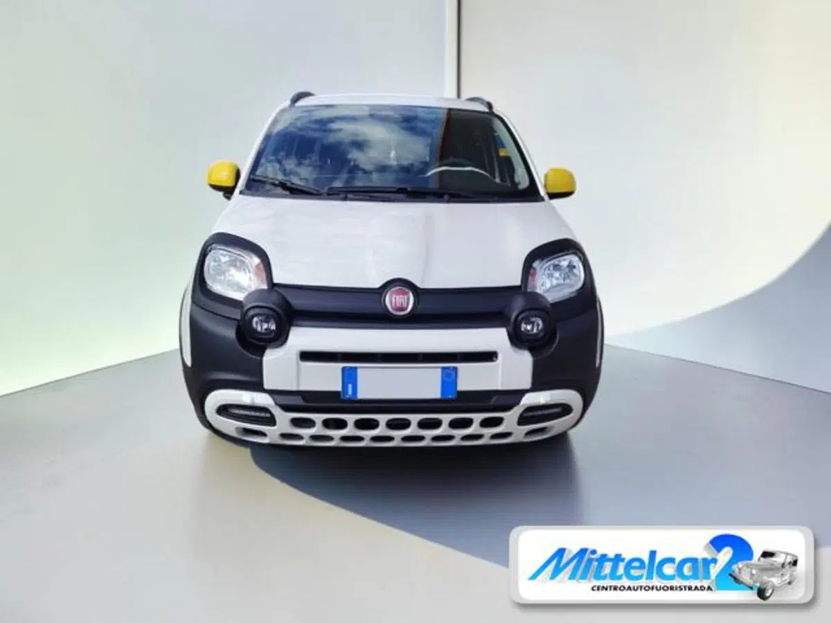 Fiat Panda Cross usata a Udine (8)